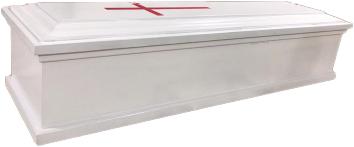 Eco-Cardboard Coffin 002